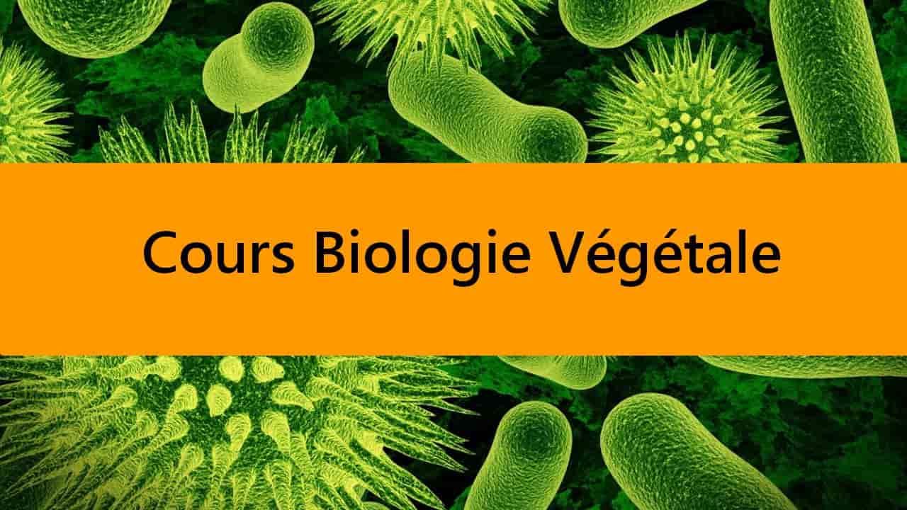 BIOLOGIE VÉGÉTALE